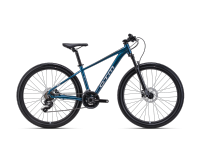 rein10blue