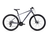 rein10grey