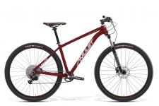 159967772nightcat60red