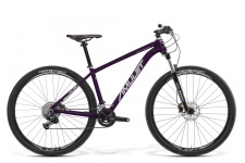 664151974nightcat20violet